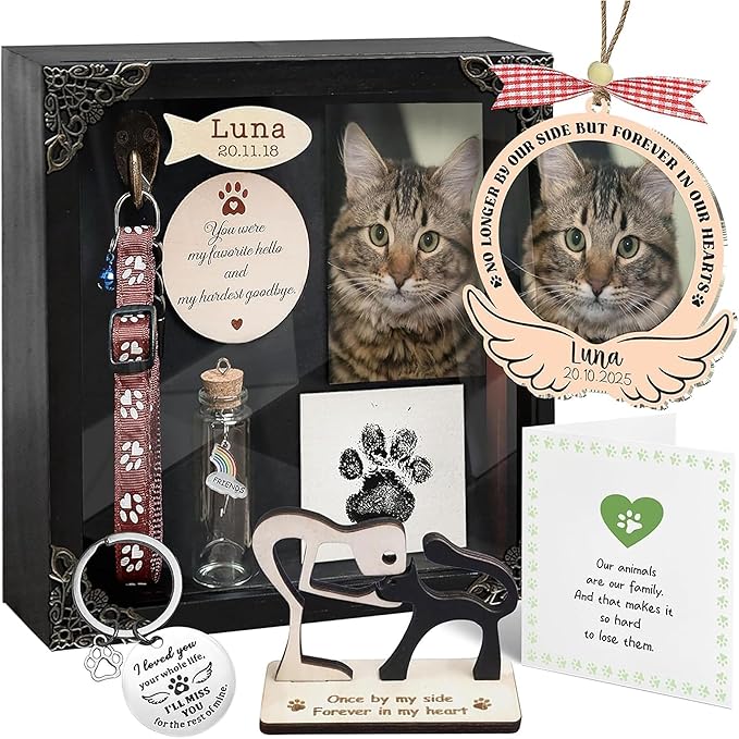 Personalized Shadow Box Cat Memorial Gift Collar Holder Picture Frame Sympathy Wood Pet Dog Cat Sculptures Fur Jar Rainbow Bridge Hair Teeth Keepsake Idea Gift for Pet Lover Tabletop Wall Hanging