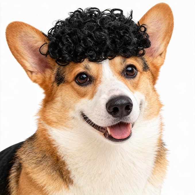Funny Black Curly Dog Wig with Adjustable Strap - Pet Costume Accessory for Dog & Cat, Halloween, Christmas, Parties, Cosplay & Festivals - Fits Small Medium Large Dogs