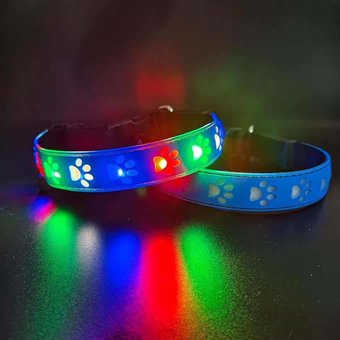 Customlized USB-C led Light up Dog Collar with Waterproof airtag Holder, 4 Modes Running Flashing Light (Blue, L(15.7-19.7"))