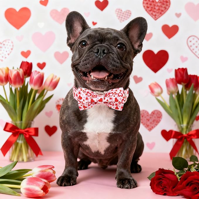 Maca Bates Valentine's Day Dog Collar with Fancy Bow for Small Girl Boy Dogs,Love Pink Hearts Pattern,Adjustable Durable Soft Valentine Gift for Female Male Puppy