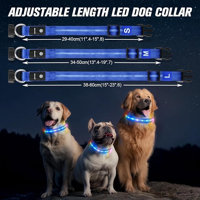 LED Dog Collar, Light Up Dog Collar, USB Rechargeable - Brightest Dog Lights for Night Walking, 6 Light Modes, Adjustable for Dog Safety(Large, Royal Blue)