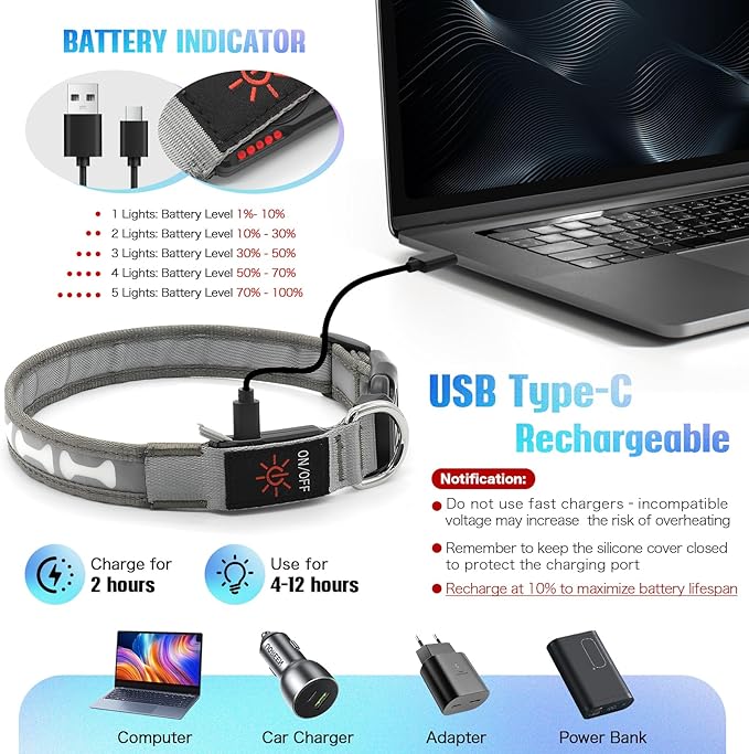 Flashseen LED Dog Collar Light Up USB-C Rechargeable, RGB 7 Colors 3 Modes Glow in The Dark Collar, Adjustable 360° Visibility Glowing Collars for Night Walking for Dogs (Grey, Small)