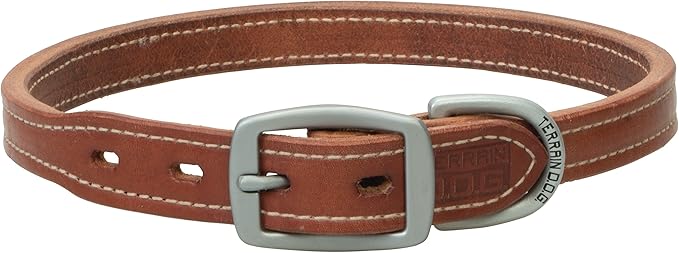 Terrain D.O.G. Buttered Harness Leather Hybrid Dog Collar 1" x 21"