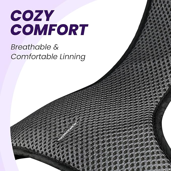 VIVAGLORY Dog Harness Easewalk No Pull Dog Harness with Handle Front Clip & Back Clip for Training Walking Lifting, No Pull Adjustable Easy On Padded Comfortable for Pet, XS, Purple - Patterned
