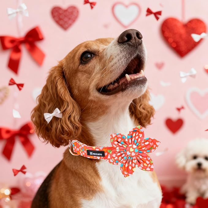 Maca Bates Valentine's Day Dog Collar with Floral Bow for Extra Small Girl Boy Dogs,Colorful Love Hearts Pattern,Adjustable Durable Soft Valentine Gift for Female Male Puppy