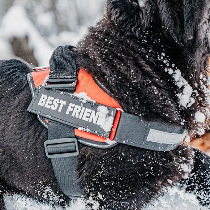 Personalized No-Pull Dog Harness with Name Patch, Adjustable, Reflective, Padded, Heavy Duty Pet Vest to Prevent Tugging, Pulling, or Choking, Training and Walking, Motorsport, 2XL