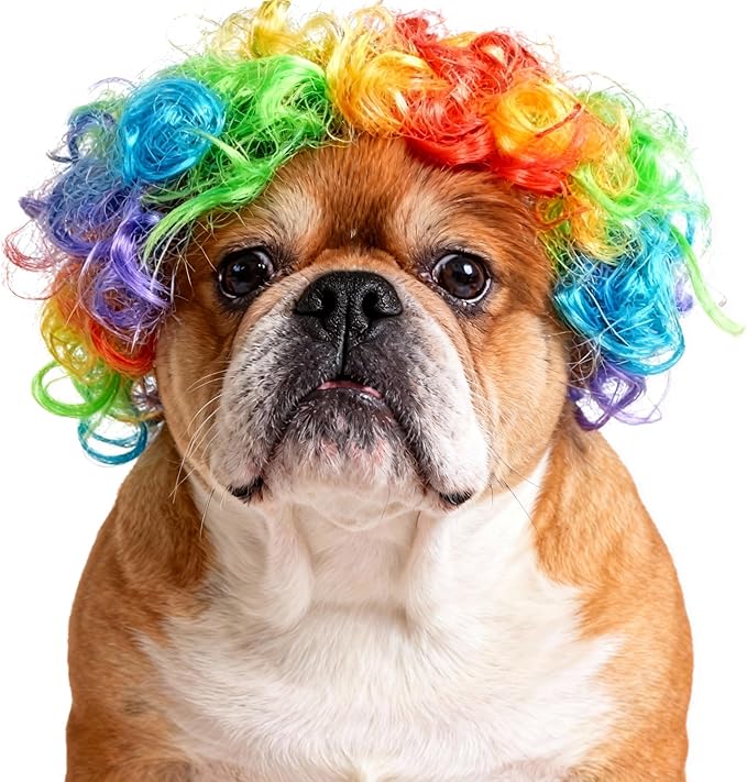 Funny Rainbow Curly Dog Wig with Adjustable Strap - Dog Costume Wig for Dog & Cat, Halloween, Festivals, Cosplay & Gag Parties - Small Medium Large Dogs