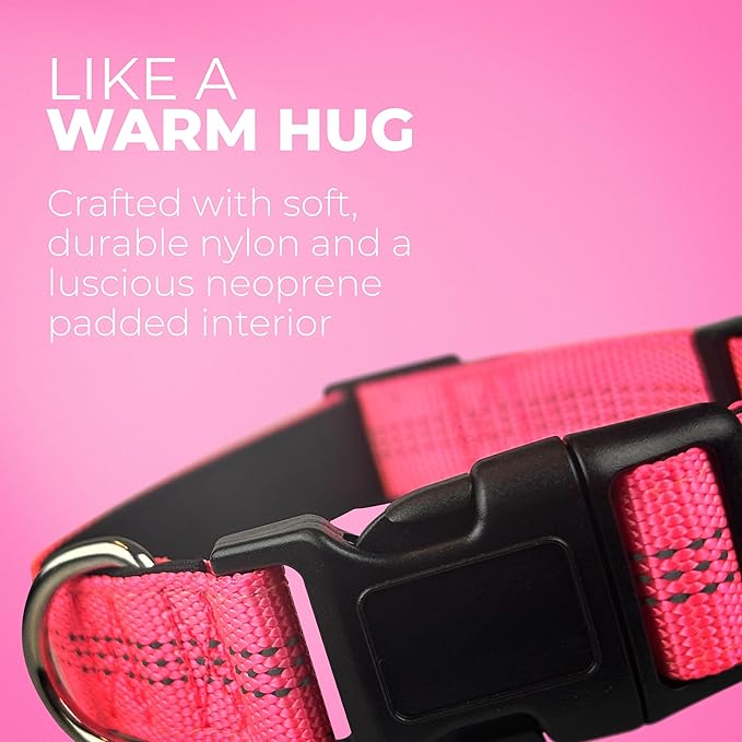 BLAZIN Reflective Dog Collar - Vibrant Color for Day and Night - Soft Neoprene Padded Collar - Adjustable Sizing -'Color Me Happy!' Dog Collars - Brighter Means Safer - (Small, Orange)
