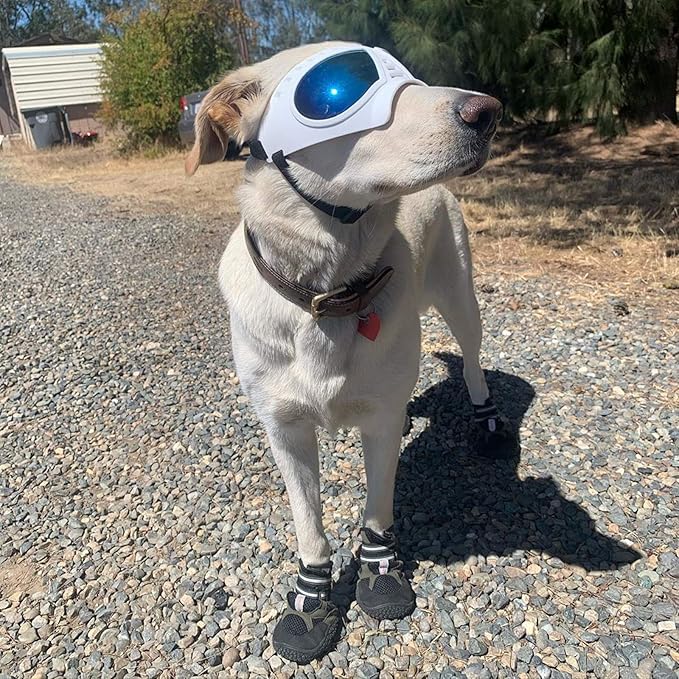 Namsan Dog Goggles for Large Dogs, Wide Snout & Soft Frame, Tactical Driving Sunglasses for Dogs Medium to Large Breed, Anti-UV Dog Eye Protection, Windproof Dustproof, Adjustable, White