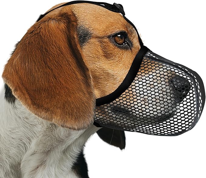 Dog Muzzle, Breathable Soft for Small to Medium Dogs to Anti & Prevent Barking Biting Chewing, Reflective & Adjustable Basket Muzzle with Air Mesh for Schnauzer Black M