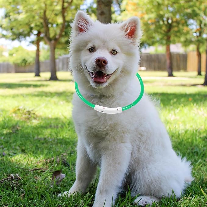 Veemoon USB Rechargeable LED Pet Collar 70cm Green Luminous Fiber Optic Dog Collar for Night Walking Safety