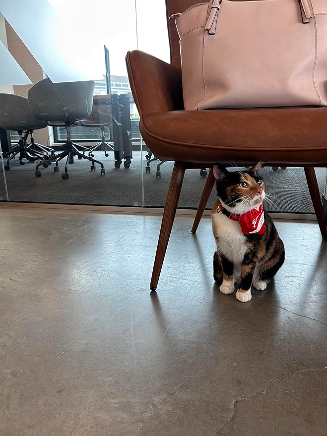 Support Pets Reversible ESA & PSD Pet Bandana – Printed Identification Scarf with “Support Pet” & Service Pet – Comfortable Cotton Bandana – Red ESA/PSD Accessory