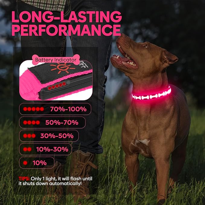 LED Dog Collar with Battery Display, Adjustable Light Up Dog Collars Rechargeable, Glowing in The Dark Reflective Light Collar Super Bright Safety Dog Light for Medium Large Small Pets (Pink, L)