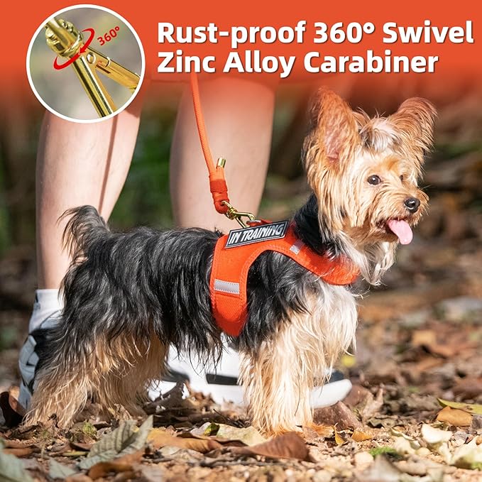 Durable Handwoven Dog Leash for Small & Medium Dogs, 5/16 inch Rope Lead with Anti-Tangle Swivel Clip, Soft & Lightweight, 5FT Long – Ideal for Daily Walking & Training (Orange)