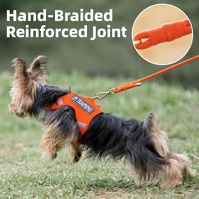 Durable Handwoven Dog Leash for Small & Medium Dogs, 5/16 inch Rope Lead with Anti-Tangle Swivel Clip, Soft & Lightweight, 5FT Long – Ideal for Daily Walking & Training (Orange)