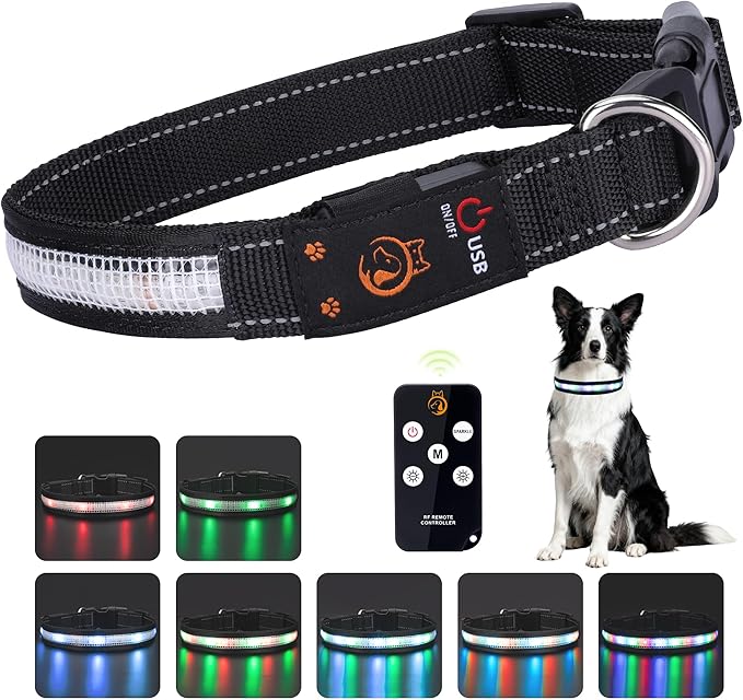 Light Up Dog Collar,Rechargeable Waterproof Led Dog Collar with Remote,Glow in Dark for Night Walking, Fits Small Medium Large Dogs-S