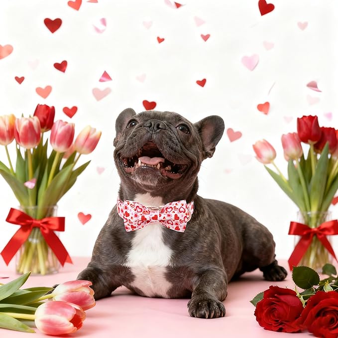 Maca Bates Valentine's Day Dog Collar with Fancy Bow for Extra Small Girl Boy Dogs,Love Pink Hearts Pattern,Adjustable Durable Soft Valentine Gift for Female Male Puppy