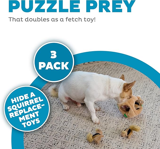 Outward Hound Squeakin' Squirrels Plush Replacement Dog Toys - 3 Pack