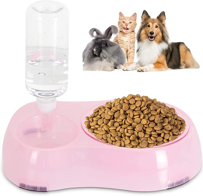 Slow Feeder Bowl, Elevated, Double Transparent for Cats, Small Dogs, Pet Automatic Water Feeder with Water Bottle