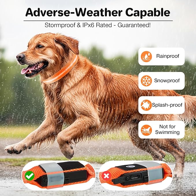 Light Up Dog Collar, USB Rechargeable 6 Modes, Waterproof Charging Port, Long Lasting LED Collar - Adjustable Nylon Reflective for Dogs, Sizes S/M/L (7/9/11 Lights) - 5 Colors (Orange, L)