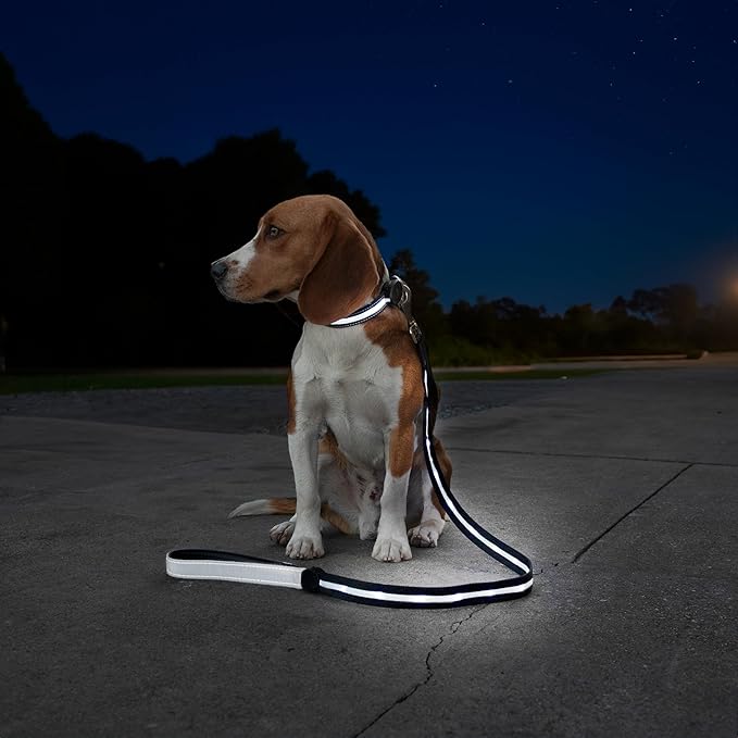 Sherry Kline LED Light-Up Pet Collar - USB Rechargeable - Flashing Glow in The Dark Size Large, Color: White