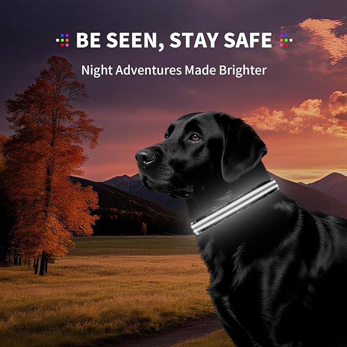 PetIsay Dog Light up Collar for Night Walking - High Visibility LED Dog Collar - Rechargeable - Waterproof - Reflective - Adjustable Lighted Glow Collars(White,Large)