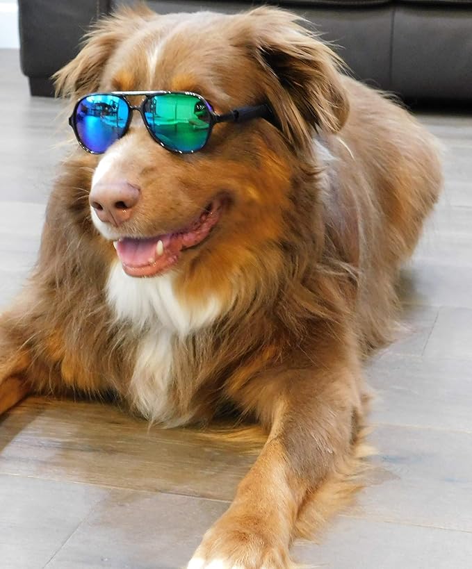 G010 Dog Pet Costume Prop Aviator Sunglasses Medium Breeds 20-40 lbs (2-Pack Black+Black-Emerald Green Mirror)