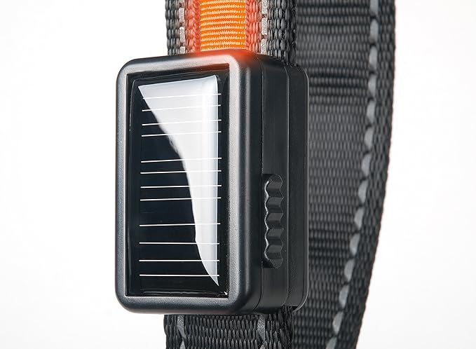 Brite Strike - LPCSU-ORANGE-LG - Solar & USB Rechargeable LED Lighted Dog Safety Collar - Make Your Dog Seen in the Dark – 2.5 Hr Run Time, Water Resistant - Large, Orange