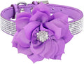 Cute Dog Collar with Bling Rhinestone, Fancy Crystal Diamond Glitter Pretty Jewel Soft Cat Collars for Small Medium Large Breed Dogs Girl Female Pet Puppy Kitten Terrier (S, Purple2)
