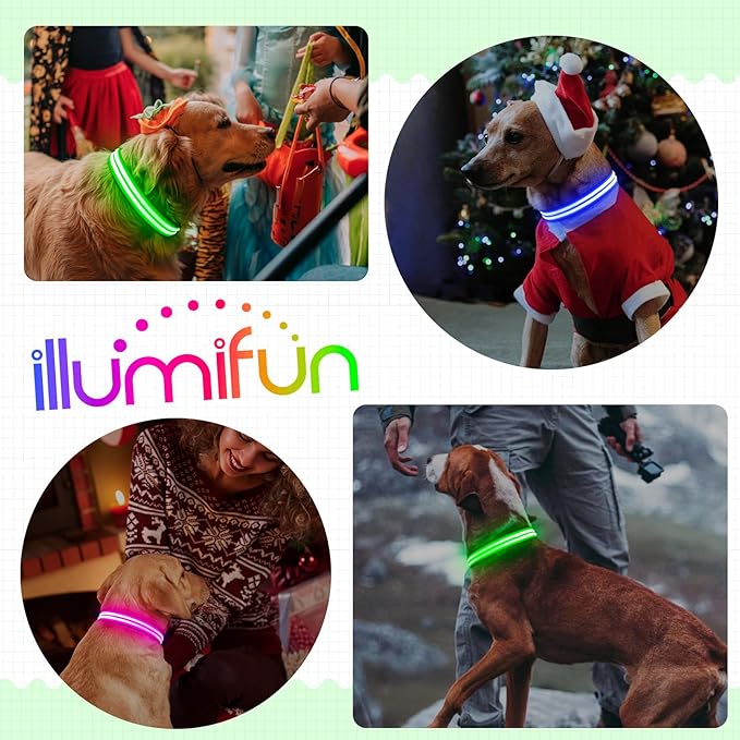 Illumifun Light Up Dog Collar, Rechargeable LED Dog Collar Glow in The Dark, High Visibility Collars Light for Pet Walking at Night (Green, Large)