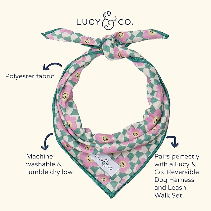 Lucy & Co. Making Rainbows, Cute Reversible Dog Harness Walking Halter - Best Designer Pet Harnesses for XS - XL Dogs - Padded Adjustable Vest for Easy Walking (Small)