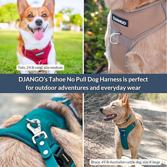 DJANGO Tahoe No Pull Dog Harness – Escape-Proof Dog Harness for Small & Medium with Front & Back Clips for Everyday Use – Adjustable, Padded, Reflective, Secure, Easy On/Off – Hibiscus Pink, Medium
