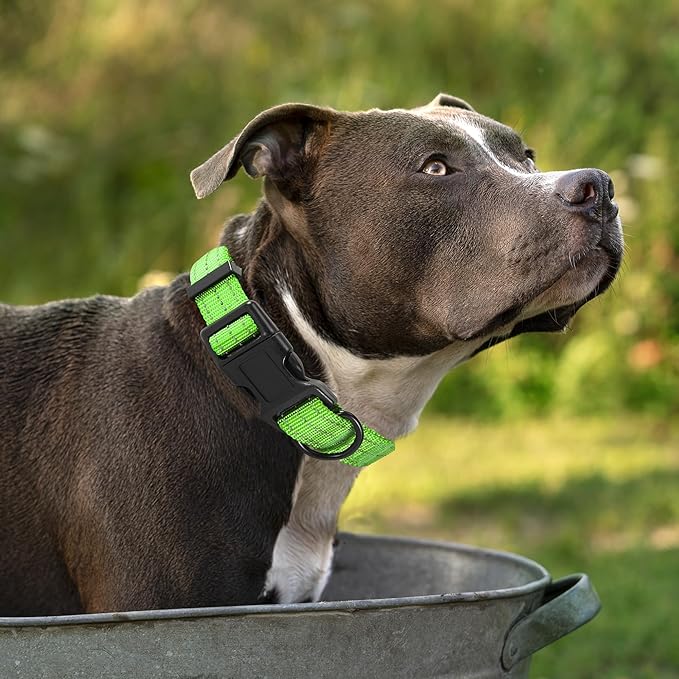 Mile High Life Dog Collar | Nylon Reflective Dog Collars | Light Weight Puppy Collars | Lime Green Dog Collars for Medium Dogs (Solid Lime Green, Medium)