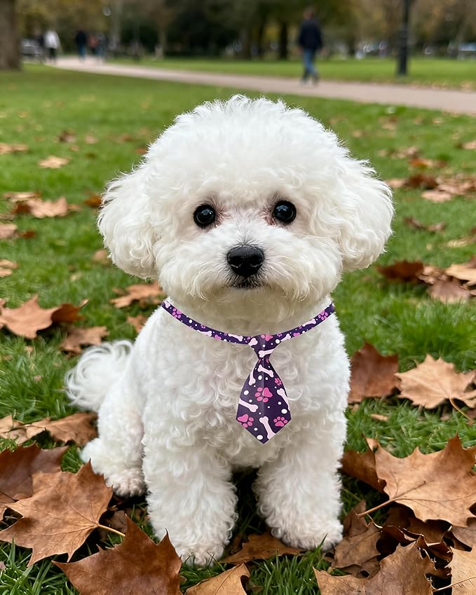 PET SHOW 10pcs Pack Paw Small Dog Ties Neckties for Doggies Cats Adjustable Holiday Birthday Grooming Accessories Neck Ties Bowties Girl Boy Festival Wedding Costumes Puppies Photography Party Gift