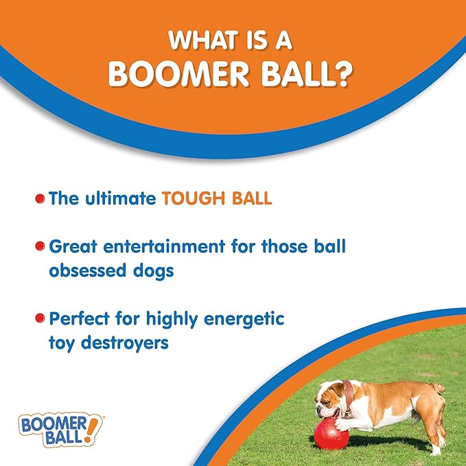 BOOMER BALL 4 inch, Virtually Indestructible Best Dog Toy, Boredom Busting Football, Tough & Durable Small Dog Ball, Floats on Water, Great for Mental Stimulation & High Energy Dogs, Assorted Colours