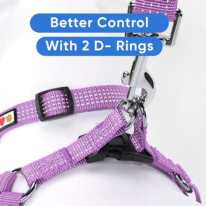 Pawtitas Reflective Step-in Dog Harness – Adjustable No-Pull Vest for Puppies to Seniors, Safe & Comfortable, L Orchid