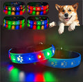 Dog Collar with Lights, 15 Lighting Modes Silicone Pet Collar, USB C Rechargeable LED Dog Collar for Night Safety, Adjustable Soft Glowing Collar for Dogs (PW-Blue Pro, S(11.8-15.7"))
