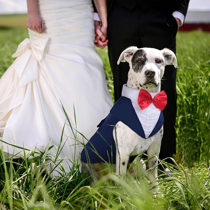 PUMYPOREITY Tuxedo for Large Dogs, Tuxedo and Bandana Set, Formal Wedding Attire, Gentleman Attire With Bowtie for Valentines Christmas Birthday, 2 Pieces/Pack, L, Blue