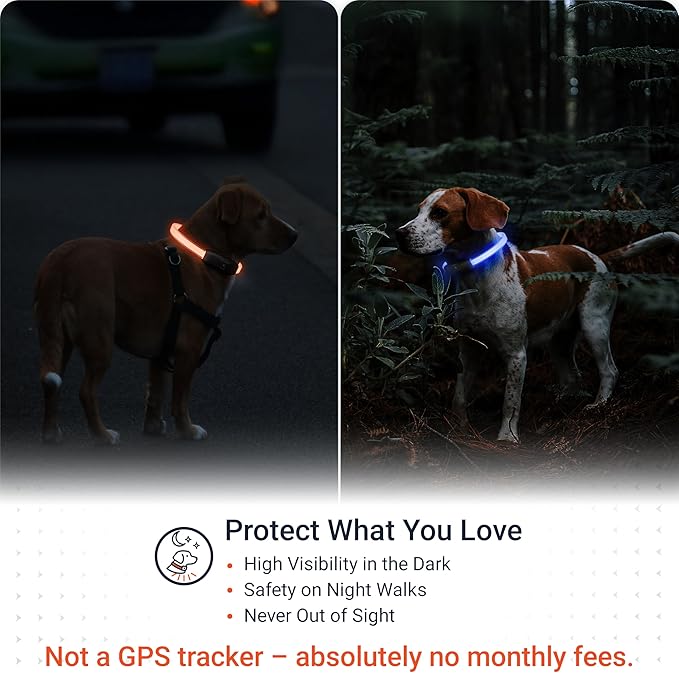 PAJ GPS – PAJ Light – Glowing LED Collar for Dogs – Cut-to-Fit (20–70 cm) – 100% Waterproof – 7 Color Modes – Night Safety & Visibility