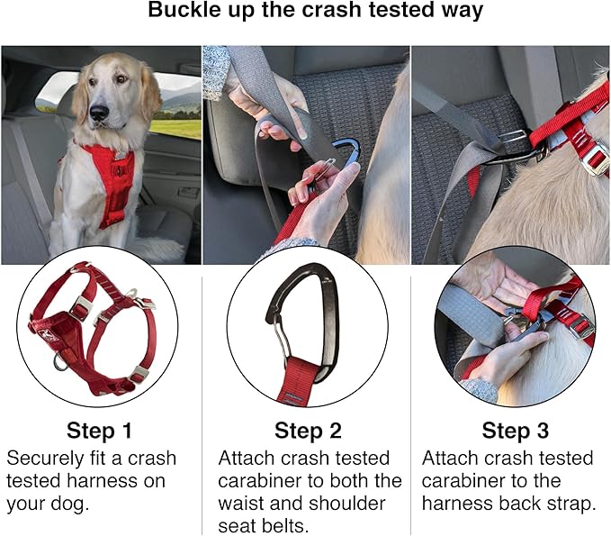Kurgo Enhanced Strength Tru-Fit Dog Car Harness - Pet Travel Safety Harness - Crash Test Certified Fit - Five Point Adjustment - Secure Buckle - Padded Chest - Deep Violet - Medium