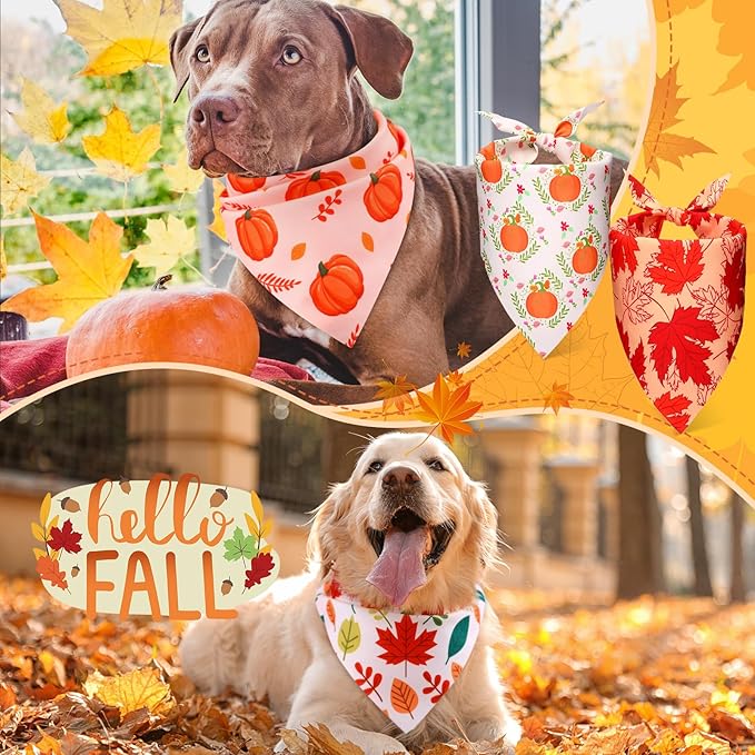 Preboun 50 Pcs Fall Thanksgiving Dog Bandana Bulk Pumpkin Maple Leaves Bandana for Dogs Triangle Kerchief Bib Scarf for Pets Costume Photo Props Accessories Pet Shops, 25 Styles (31.5 x 21.7 x 21.7)