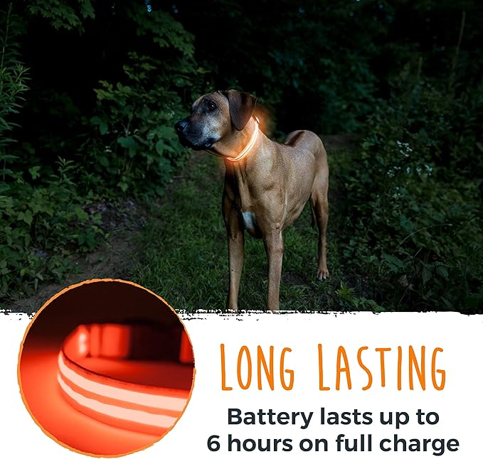 Mighty Paw LED Dog Collar - USB Rechargeable LED - High Visibility Glow Pet Strips - Weather Resistant - 3 Bright Light Modes for Nighttime Dog Safety - Collar USB (S, Orange)