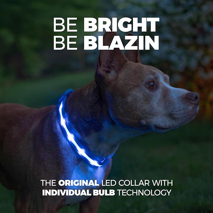 Blazin Light Up Dog Collar - The Original LED Dog Collar - USB Rechargeable - Waterproof - 1,000 Feet of Visibility - Dog Collar Light for Small, Medium, Large Dogs - US Brand