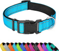 Reflective Dog Collar, Adjustable Soft Neoprene Padded Nylon Pet Collars with Buckle for Extra Large Dogs, Sky Blue,XL