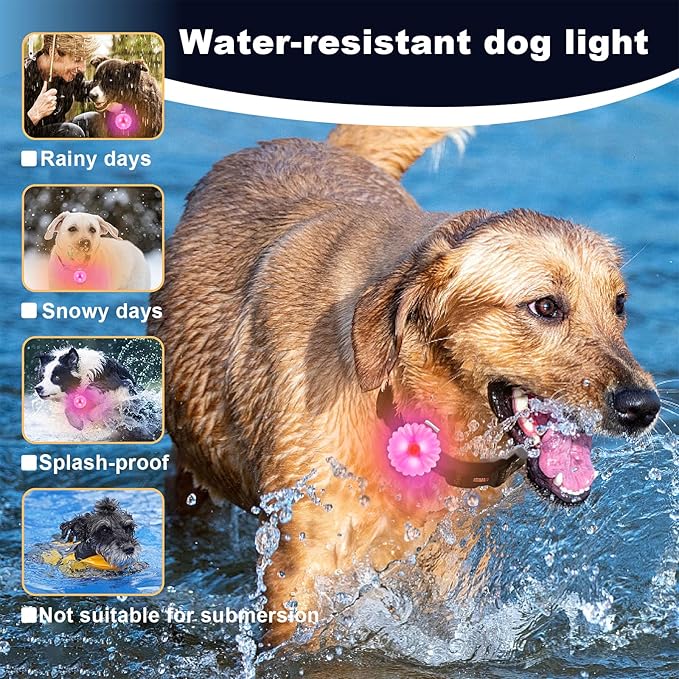 AHJ Dog Collar Light, 2 Pack Dog Safety Lights for Night Walking, USB-C Rechargeable Dog Light Clip-On LED for Kids' Backpacks, Dogs, Runners, Joggers, Cyclists, Camping & Hiking (Pink and Blue)