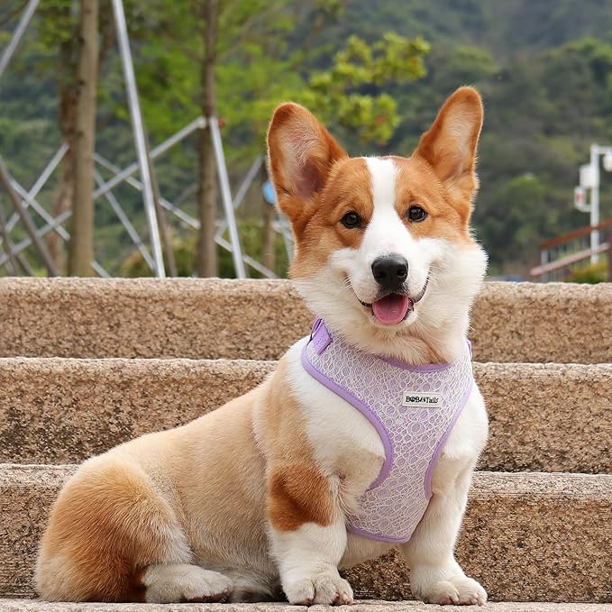 No Pull Dog Vest Harness for Small&Medium Dogs, Side Clip Adjustable Pet Vest, Soft Breathable, Fashion Dog Harnesses for Walking, Running, Shopping (Purple, XS)