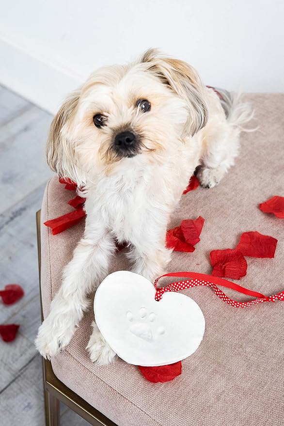 Pearhead Pet Paw Print Valentine’s Ornament Kit – Heart-Shaped Clay Pawprint Keepsake for Dogs & Cats, DIY Valentine’s Day Pet Gift & Memorial
