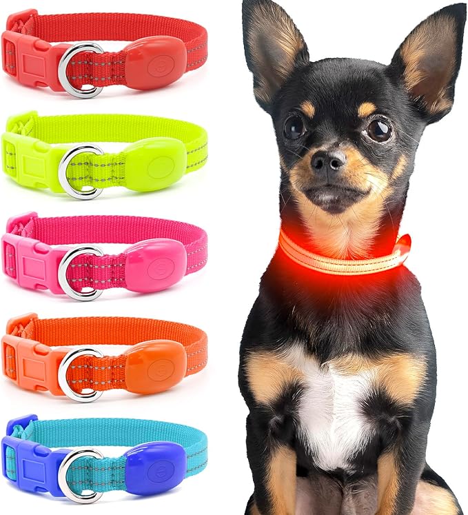 Light Up Dog Collar - Rechargeable LED Pet Collar for Puppies & Cats, Glowing Safety Dog Lights for Night Walking (Orange, XS)