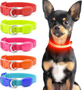 Light Up Dog Collar - Rechargeable LED Pet Collar for Puppies & Cats, Glowing Safety Dog Lights for Night Walking (Orange, XS)