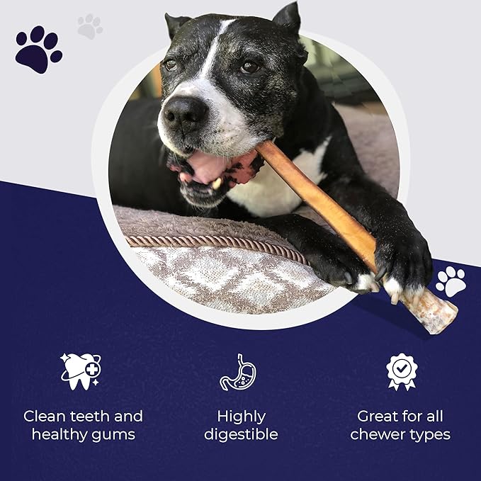 Devil Dog Pet Co. Jumbo Bully Sticks – 6 Inch, 3 Pack Dog Chews, 100% Natural, Single Ingredient, Free-Range Grass-Fed Beef – Long Lasting, Rawhide-Free Treats for Dogs